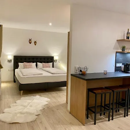 Alm Seasons Premium & Habitación en casa particular Saalbach-Hinterglemm