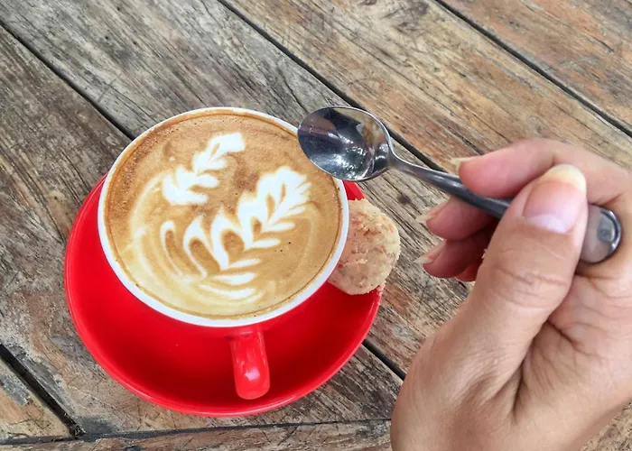 Alm Seasons Premium & ホームステイ *