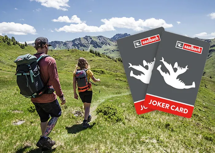 Alm Seasons Premium & ホームステイ ザールバッハ・ヒンターグレム