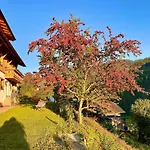 Ubytování v soukromí Alm Seasons Premium & Saalbach-Hinterglemm