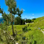 Ubytování v soukromí Alm Seasons Premium & Saalbach-Hinterglemm