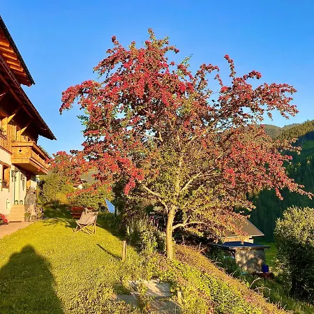 ホームステイ Alm Seasons Premium & ザールバッハ・ヒンターグレム