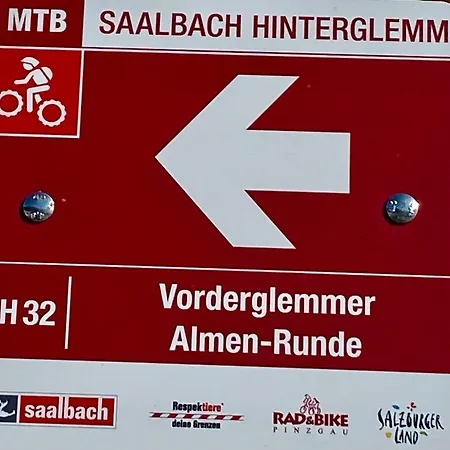 Alm Seasons Premium & * Saalbach-Hinterglemm