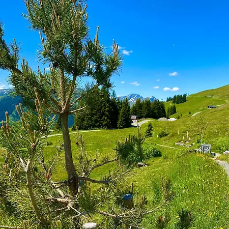 ホームステイ Alm Seasons Premium & ザールバッハ・ヒンターグレム