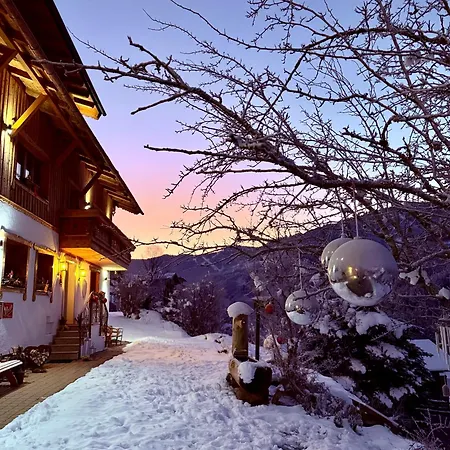 Homestay Alm Seasons Premium &