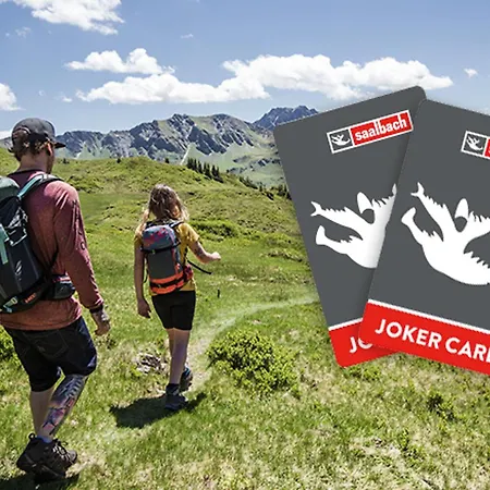Alm Seasons Premium & Kwatera prywatna Saalbach-Hinterglemm