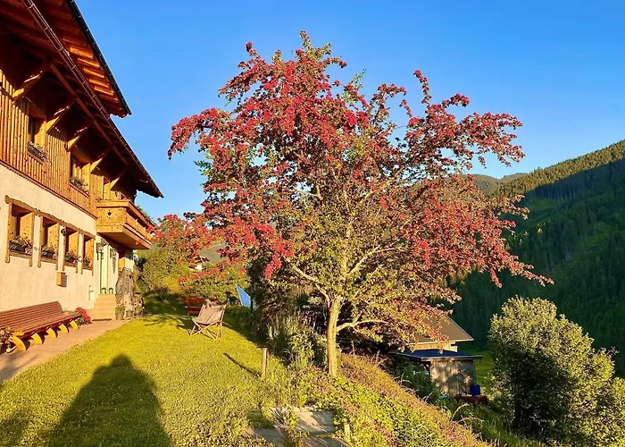 Kwatera prywatna Alm Seasons Premium & Saalbach-Hinterglemm