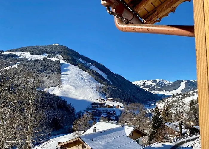 Alm Seasons Premium &