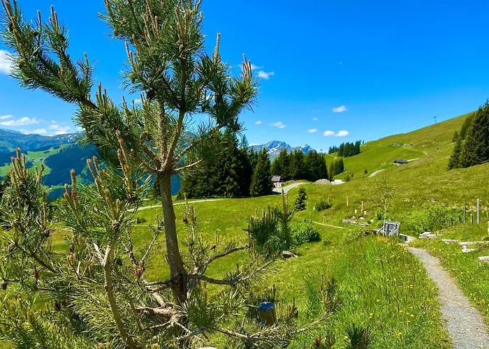 Rum i privatbostad Alm Seasons Premium & Saalbach-Hinterglemm