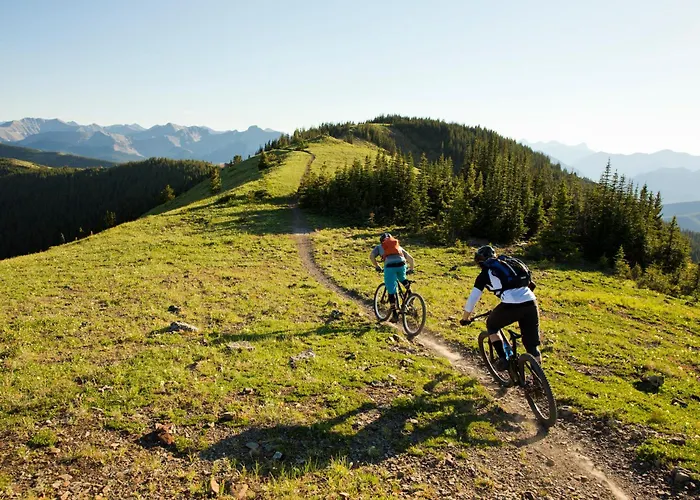 Alm Seasons Premium & *